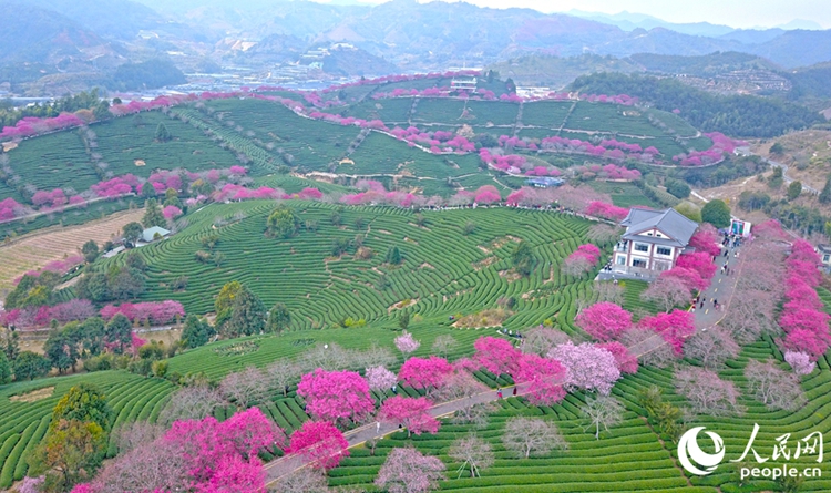 ?????????????????????????????????????????????????? ??????????? ????????????????????????????????????????????????????? ???????????? ?????????????????????????  ??????????????? (???????? ????? ???????)  