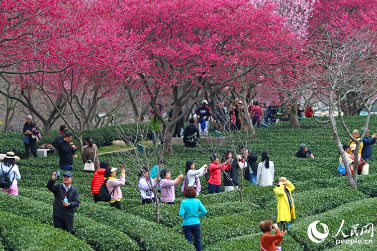 ??????????: ??????????????????? ????????????????????????????? ?????????????????????????