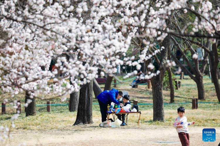 ????????????????????????????????????????????????????????????? ?????????????? ????????? ????????????????? ??????????? 16 ?????? 2568 (??????)