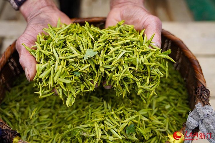 ?????????????????????????????????????????????????????????????????? ????????? ??????????? ??????????? ????????????? ????????????????? (???????? ????? ???????)