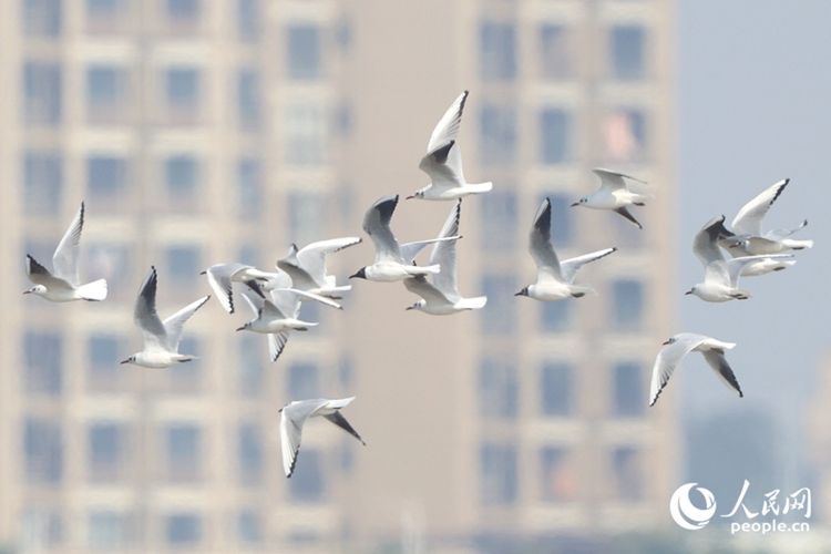 ????????????????? ??????????????????????????????????????????????? ?????????????????? ???????????? ????????????????????????? (???????? ????? ???????)