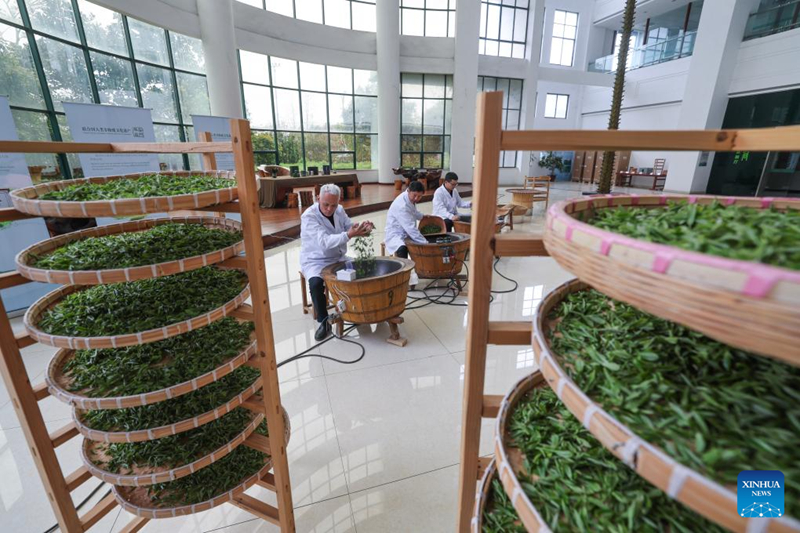 ???????????????????????????????? ??????????? ?????????????????????????????????????????????????????????????? ????????????? ????????????????? ??????????? 31 ?????? 2568 (??????)