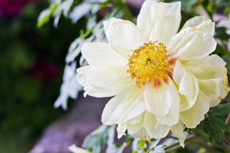 ????????????????????????????????? “????????????????????” ??????????????????????????????????????????????????