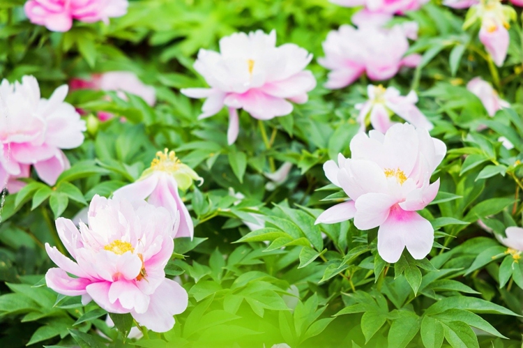 ????????????????????????????????? “????????????????????” ??????????????????????????????????????????????????