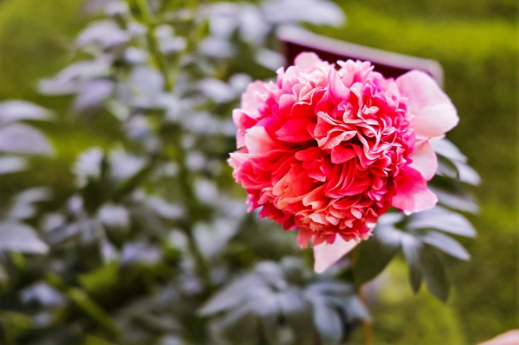 ????????????????????????????????? “????????????????????” ??????????????????????????????????????????????????