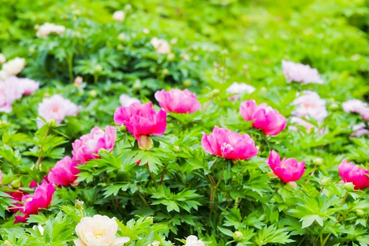 ????????????????????????????????? “????????????????????” ??????????????????????????????????????????????????