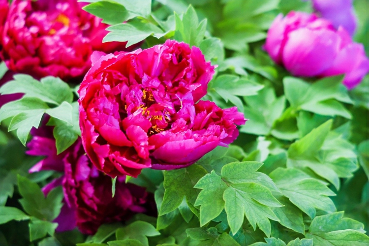 ????????????????????????????????? “????????????????????” ??????????????????????????????????????????????????