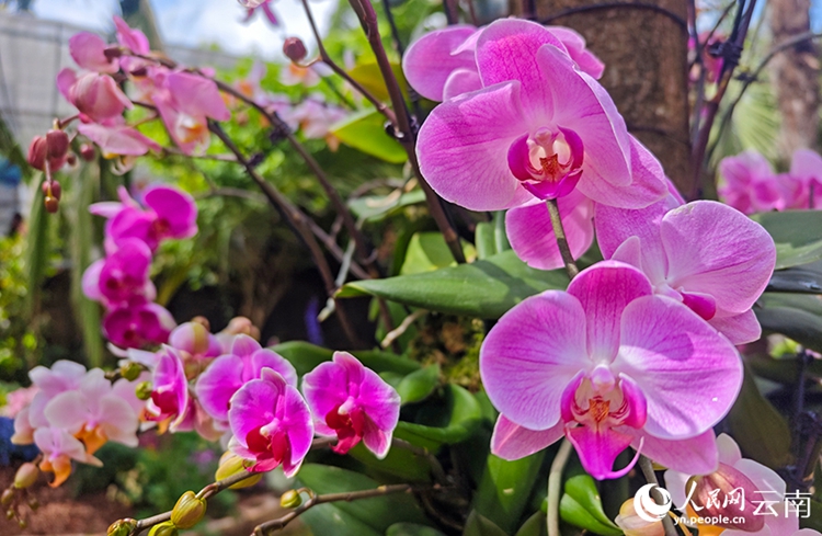 ????????????????????? ? ???????????????????????????????? ???????????????????????? (???????? ????? ???????)