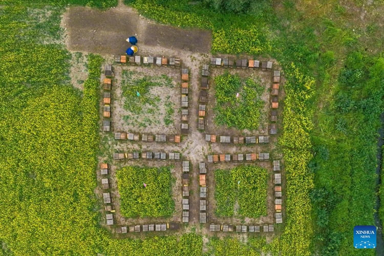 ??? ???????? ????????? ???????????????????????????????????????????????????????? ?????????????????? ??????????????????????? ???????????????????? ?????????? ?????????????????????????? ?????????????????????????? 16 ??????? 2568 (??????)