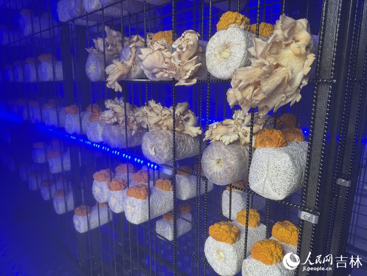 ?????????????????????????????????????????????????????????????????