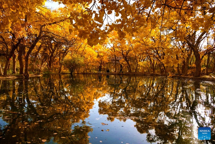 ????????????????????????????????????????????????????????????????????