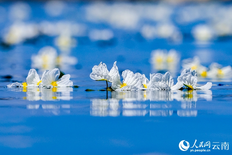 ????????????????????????????????????????? ????????????????????????