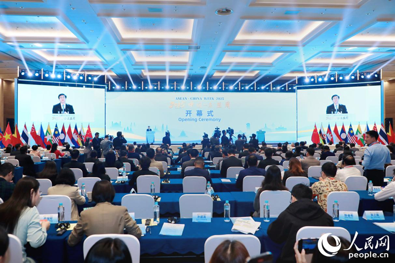 ??????????–??????? ?? 2025 ???????????????????? ????????????