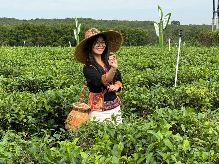 ??????????????????????????? ?????????????????????????????