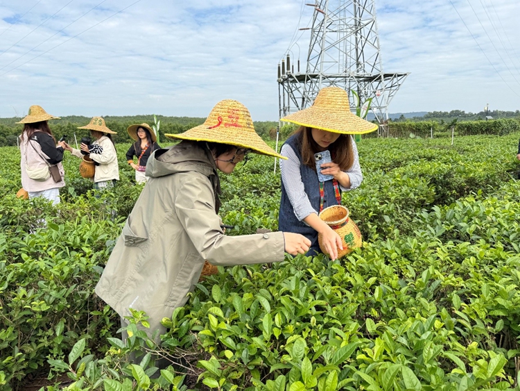 ??????????????????????????? ?????????????????????????????