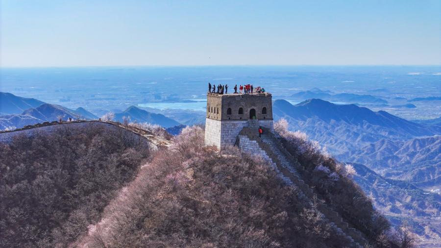 ?????????????????????????????????????????????????????????????