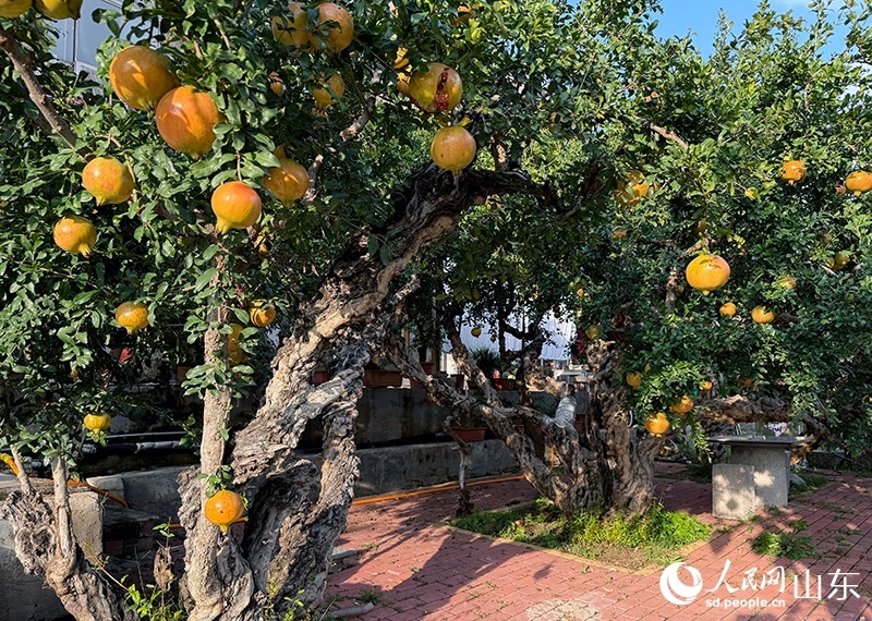 ????? “??????” ??????????????????????????????????????????????????????????????????????????????? ????????? ?????????????????