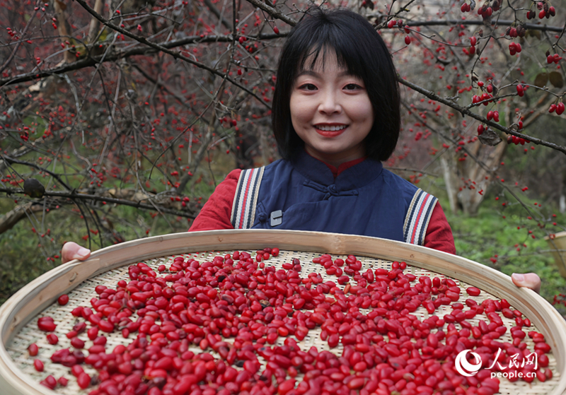 ?????????????????????????????? "?????????" ???????????????????????